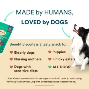 Benefit Biscuits, All Natural Dog Treats, Certified Vegan, Non GMO, Wheat Free, Healthy Dog Biscuits, Made in USA (Mint, Regular Bag, 7oz)