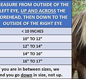 EquiVizor 95% UV Eye Protection (Full) Standard Horse Fly Mask - Help with Uveitis, Corneal Ulcer, Cataract, Light Sensitivity, Cancer. Designed to Stay On Your Horse, Off The Ground!