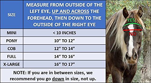 EquiVizor 95% UV Eye Protection (Full) Standard Horse Fly Mask - Help with Uveitis, Corneal Ulcer, Cataract, Light Sensitivity, Cancer. Designed to Stay On Your Horse, Off The Ground!