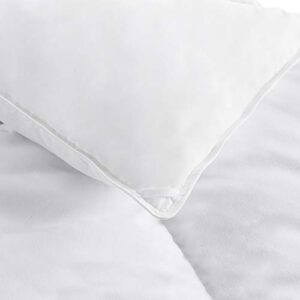 Amazon Basics Down Alternative Bedding Comforter Duvet Insert, Full/Queen, White, Light