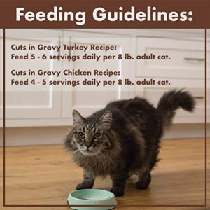 NUTRO Grain Free* Natural Wet Cat Food Cuts in Gravy Turkey Recipe and Chicken Recipe Variety Pack, PERFECT PORTIONS Twin-Pack Trays- 1.32 Ounce (Pack of 24)