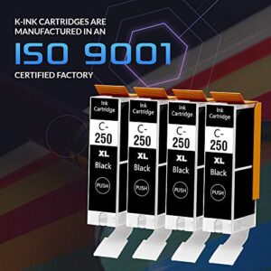 K-Ink Compatible Printer Ink Cartridges Replacement for Canon PGI 250 PGI-250 XL Black PGBK (4 Big Black)