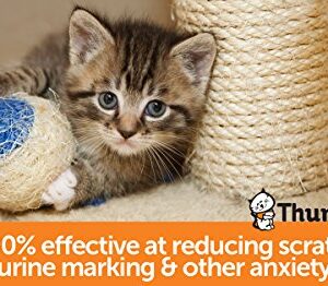 ThunderEase Cat Calming Pheromone Diffuser Refill | Powered by FELIWAY | Reduce Scratching, Urine Spraying, Marking, and Anxiety (60 Day Supply)