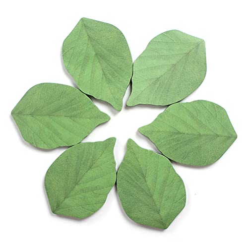 300 Sheets Leaf Sticky Notes Memo Pad Paper Sticker Pads (50 Sheets/Pad x 6 Pads)