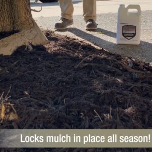 Landscape Loc Mulch & Rock Bond - Mulch, Rock and Pea Gravel Glue, Lock Landscaping in Place, Ready-to-Use, Sprayable, Adhesive, Binder, and Stabilizer (1 Gallon, 1)