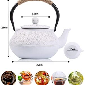 Sotya Cast Iron Teapot, 40oz/1200ml Japanese Tetsubin Tea Pot with Infuser for Loose Leaf and Tea Bags, Tea Kettle Coated with Enameled Interior for Stove Top, White