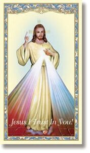 divine mercy of jesus holy card with divine mercy chaplet on the back (10 pack)