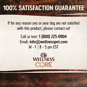 Wellness CORE Natural Grain Free Dry Dog Food, Small Breed Healthy Weight, 4-Pound Bag