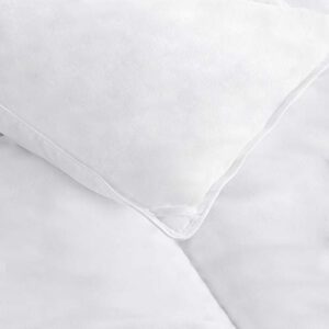 Amazon Basics Down Alternative Bedding Comforter Duvet Insert - Twin, White, Light
