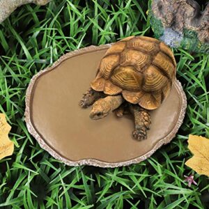 UEETEK Pets Feeding Plate Reptile Feeding Bowl Vivarium Food Water Dish Resin Bowl for Turtle Gecko Snake Pet Breeding Tray