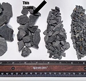 Natural Slate Stone -1/2 to 1 inch Stones for Miniature or Fairy Garden, Aquarium, Model Railroad & Wargaming (1)