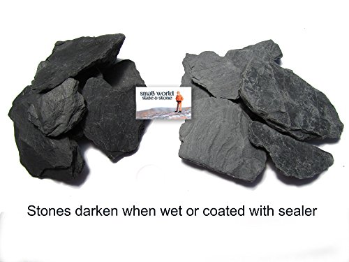 Natural Slate Stone -1/2 to 1 inch Stones for Miniature or Fairy Garden, Aquarium, Model Railroad & Wargaming (1)