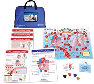 newpath learning the circulatory system learning center game - grades 6-9