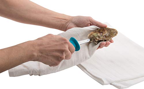 Trudeau Oyster Knife, One Size, Tropical