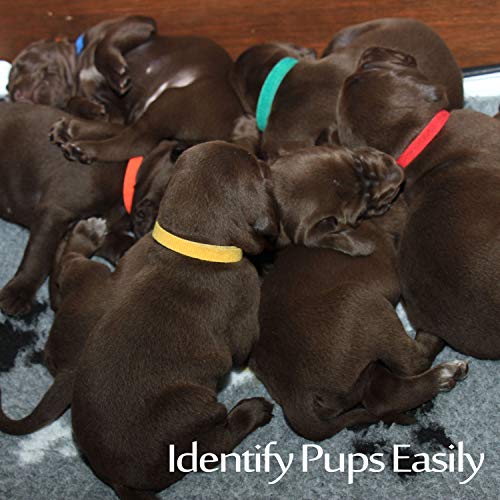 Whaline 15 Colors Puppy ID Collars Whelping Dog Band Newborn Soft Fabric Adjustable Identification Collar for Pet Dog Cat