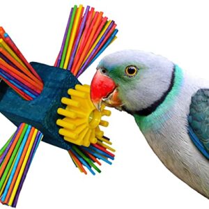 super bird creations sb963 twirl n' whirl bird toy, medium bird size, 6.5" x 4"