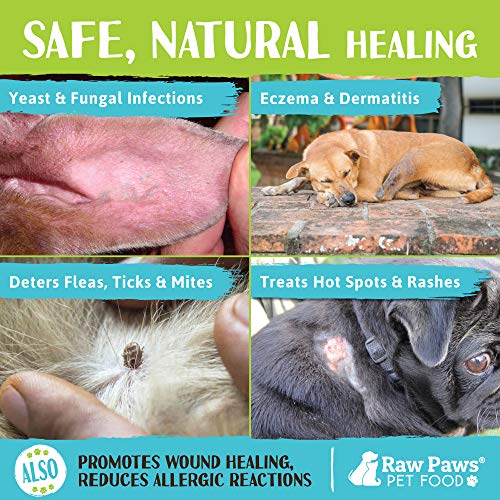 Raw Paws Organic Coconut Oil for Dogs & Cats, 16-oz - Treatment for Itchy Skin, Dry Nose, Paws, Elbows, Hot Spot Lotion for Dogs, Natural Hairball Remedy for Dogs & Cats