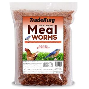 tradeking 5 lb dried mealworms - high protein treat for wild birds, chicken, fish & reptiles