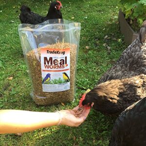 TradeKing 5 lb Dried Mealworms - High Protein Treat for Wild Birds, Chicken, Fish & Reptiles