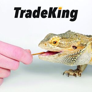 TradeKing 5 lb Dried Mealworms - High Protein Treat for Wild Birds, Chicken, Fish & Reptiles