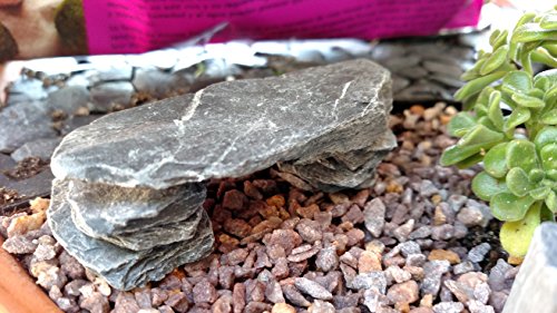 Natural Slate Stone -1 to 3 inch Rocks for Miniature or Fairy Garden, Aquarium, Model Railroad & Wargaming (2)