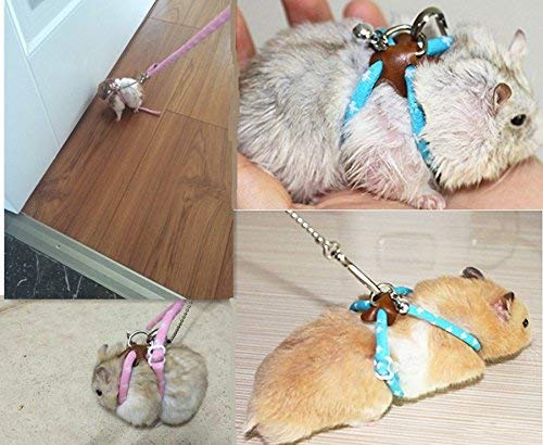 Hypeety Hamster Training Lead Leash Nylon for Hamster Rat Squirrel Gerbil Pet Cage Playhouse Leashes Band Finder Collar Bell (Blue)