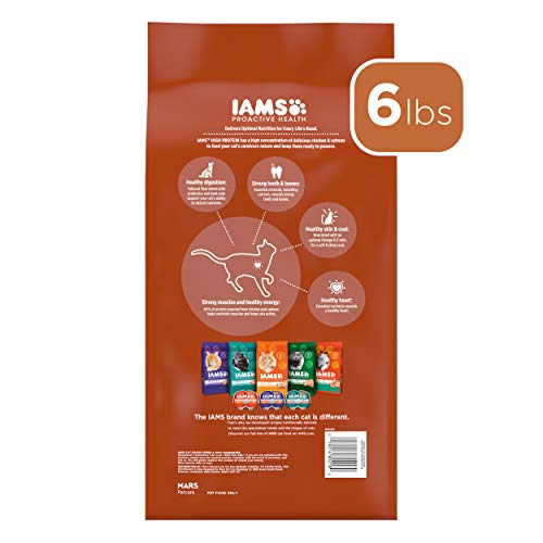 IAMS PROACTIVE HEALTH High Protein Adult Dry Cat Food with Chicken & Salmon Cat Kibble, 6 lb. Bag