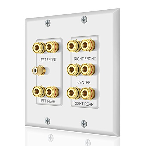 Home Theater 5.1 Surround Sound Distribution Wall Plate 10 Banana Binding Post Coupler for 5 Speakers and 1 RCA for Subwoofer