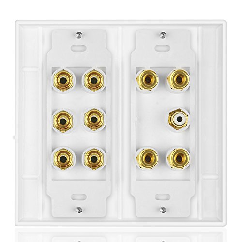 Home Theater 5.1 Surround Sound Distribution Wall Plate 10 Banana Binding Post Coupler for 5 Speakers and 1 RCA for Subwoofer