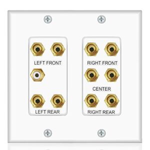 Home Theater 5.1 Surround Sound Distribution Wall Plate 10 Banana Binding Post Coupler for 5 Speakers and 1 RCA for Subwoofer