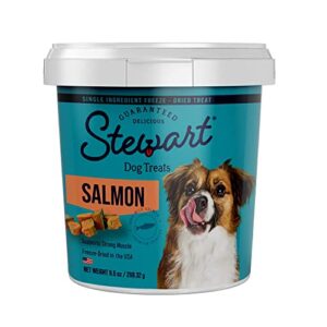 stewart freeze dried dog treats, wild salmon, grain free & gluten free, 9.5 ounce resealable tub, single ingredient, dog training treats