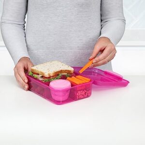 Sistema Collection Bento Lunch Box 6.9 Cup, Assorted Solid Colors/Contrasting Klips