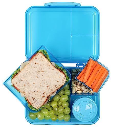 Sistema Collection Bento Lunch Box 6.9 Cup, Assorted Solid Colors/Contrasting Klips