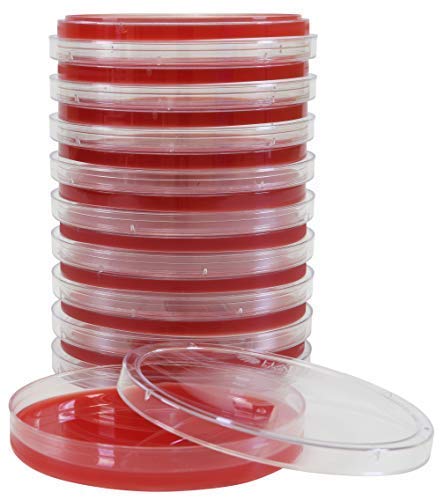 Columbia Blood Agar, 5 Percent Sheep Blood, a General Growth Medium for The Cultivation of Microorganisms, Shows Hemolytic Reactions, 15x100mm Plate, Order by The Package of 10, by Hardy Diagnostics