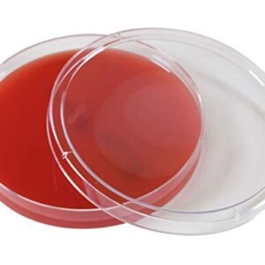 Columbia Blood Agar, 5 Percent Sheep Blood, a General Growth Medium for The Cultivation of Microorganisms, Shows Hemolytic Reactions, 15x100mm Plate, Order by The Package of 10, by Hardy Diagnostics