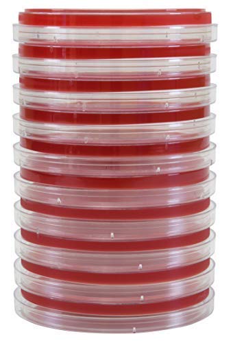 Columbia Blood Agar, 5 Percent Sheep Blood, a General Growth Medium for The Cultivation of Microorganisms, Shows Hemolytic Reactions, 15x100mm Plate, Order by The Package of 10, by Hardy Diagnostics