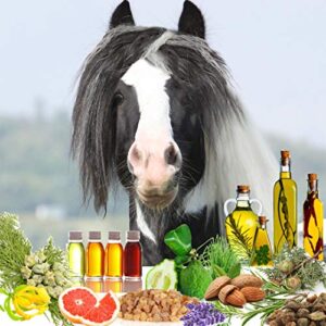 The Blissful Horses Relax Spray Aromatherapy All Natural Support for Your Horse's Anxiety