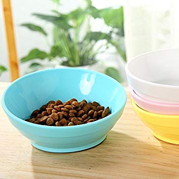 Creation Core Premium Quality Tilted Cat Bowl for Small Pets with Anti-skid Rubber