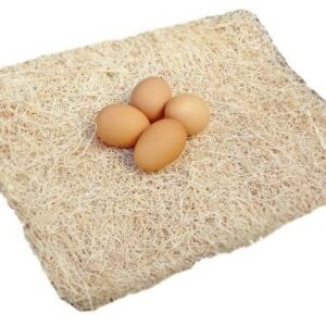 Excelsior Poultry Nesting Pads 13"x13" Bundle of 10 Chicken Hens Nest Bedding