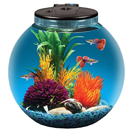 Koller Products AquaView 3-Gallon Fish Tank with Power Filter and LED Lighting