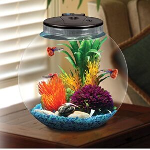 Koller Products AquaView 3-Gallon Fish Tank with Power Filter and LED Lighting