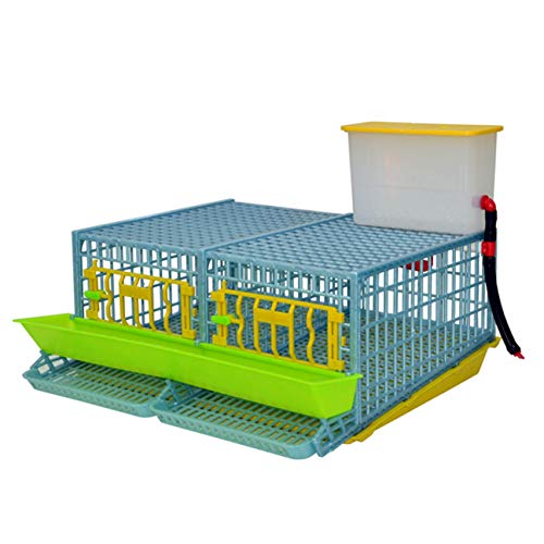 Quail Cage Two Compartment, The Patented Design, First in The World, Professional Quail Egg cage