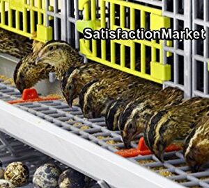 Quail Cage Two Compartment, The Patented Design, First in The World, Professional Quail Egg cage