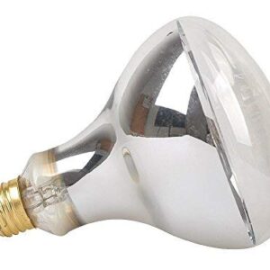 LUCKY HERP Reptile UVA UVB Mercury Vapor Bulb Lamp,Screw Thread,160 Watt (Clear)