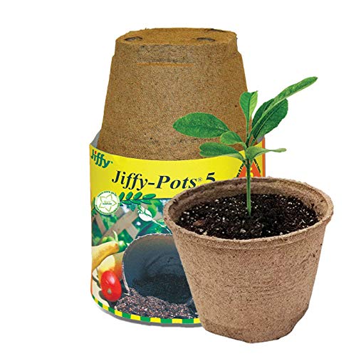 Plantation Products Jp508 Round Peat Pot, 5-Inch, 6-Pack (2)