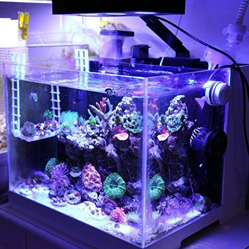 hipargero Aquarium Light –3rd Generation A029 Aquarium LED Light 30 Watts Saltwater Light with Touch Control, 5W LED Chips for Coral Reef Nano Fish Tank Marine Tanks with Timer & Screen