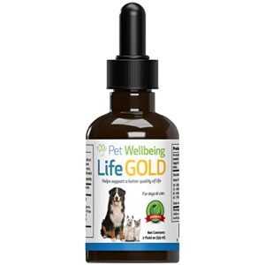 pet wellbeing life gold for cats - vet-formulated - immune support and antioxidant protection - natural herbal supplement 2 oz (59 ml)