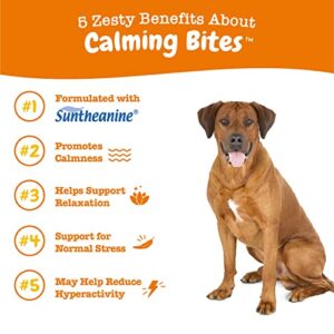 Zesty Paws Calming Chews for Dogs - Composure & Relaxation for Everyday Stress & Separation - with Ashwagandha, Organic Chamomile, L-Theanine & L-Tryptophan – Turkey - 90 Count