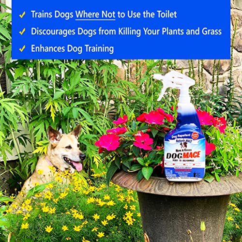 Nature's MACE Dog Repellent 40oz Spray/Treats 1,000 Sq. Ft. / Keep Dogs Out of Your Lawn and Garden/Train Your Dogs to Stay Out of Bushes/Safe to use Around Children & Plants