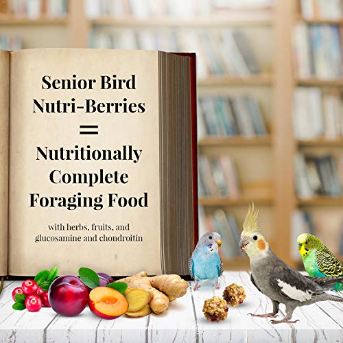 LAFEBER'S Senior Bird Nutri-Berries Pet Bird Food, Made with Non-GMO and Human-Grade Ingredients, for Parakeets & Cockatiels, 10 oz